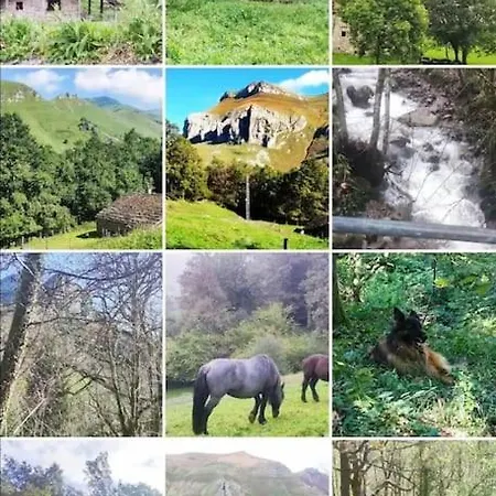 Pasiega La Reina Del Paraiso Lantställe *