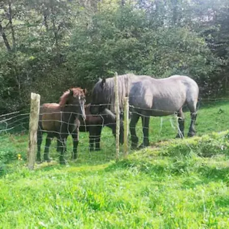 Pasiega La Reina Del Paraíso * San Roque de Ríomiera
