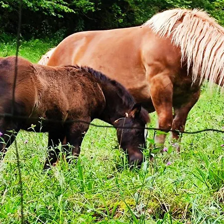 Casa rural Pasiega La Reina Del Paraíso