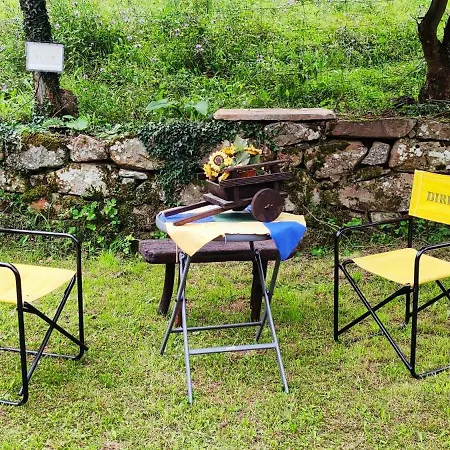 Pasiega 