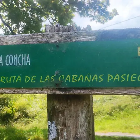 Pasiega La Reina Del Paraiso * San Roque de Ríomiera