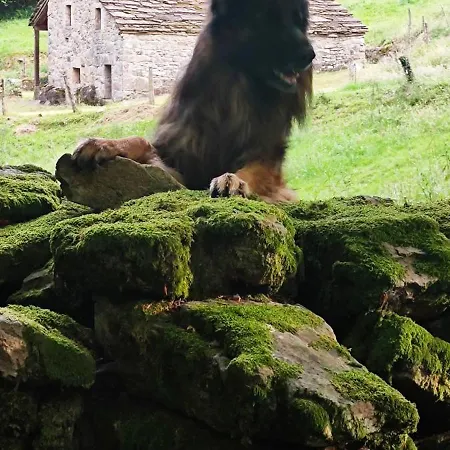 Casa rural Pasiega La Reina Del Paraíso *