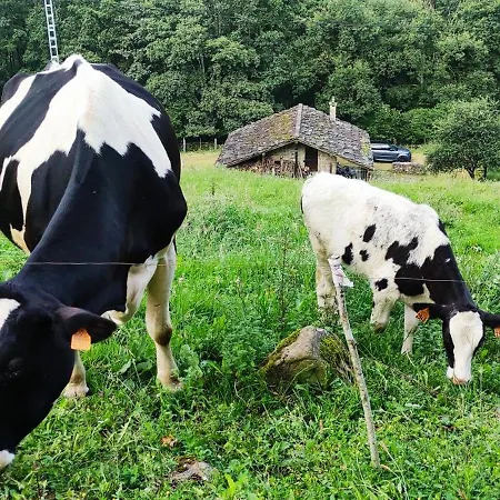 Pasiega La Reina Del Paraíso Casa rural San Roque de Ríomiera