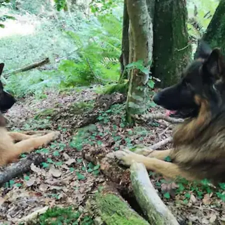 Casa rural Pasiega La Reina Del Paraíso *