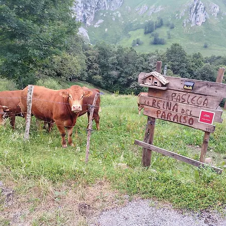 Pasiega La Reina Del Paraíso Casa rural *
