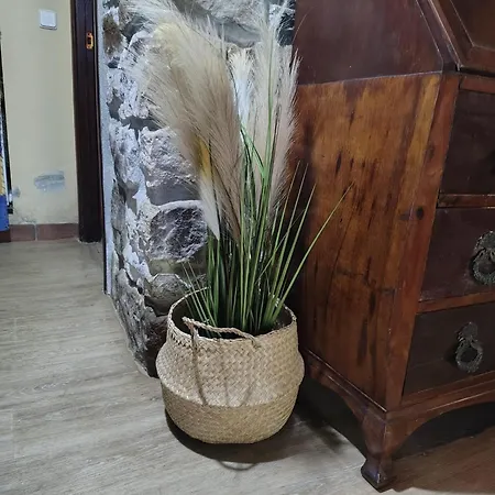 Pasiega La Reina Del Paraiso