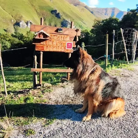 Pasiega La Reina Del Paraíso San Roque de Ríomiera