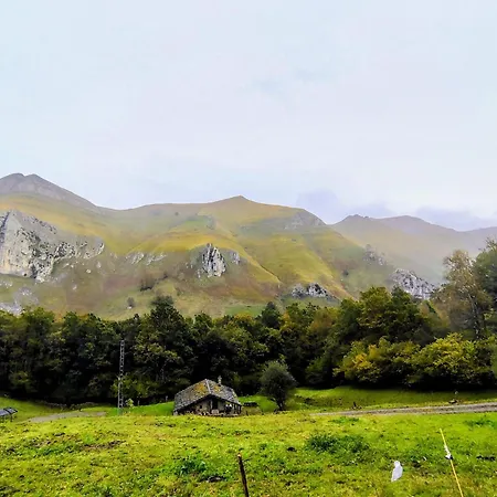 Pasiega La Reina Del Paraíso *