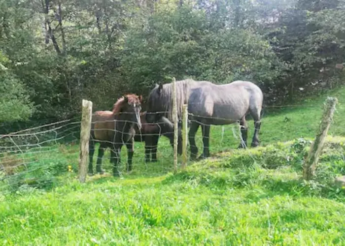 Pasiega La Reina Del Paraiso * San Roque de Riomiera