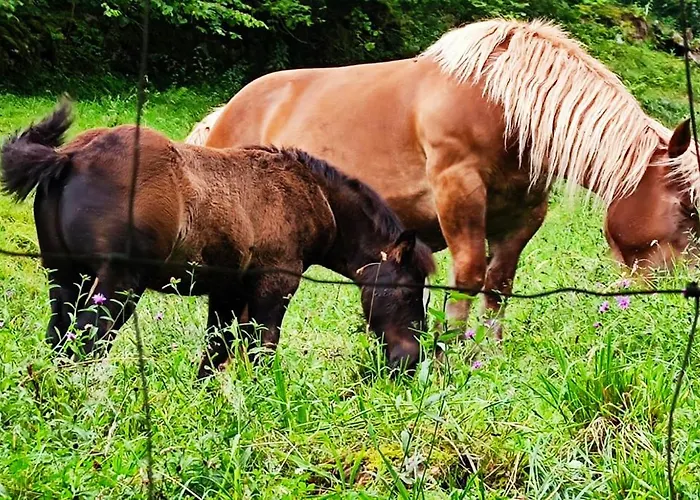Country house Pasiega La Reina Del Paraiso