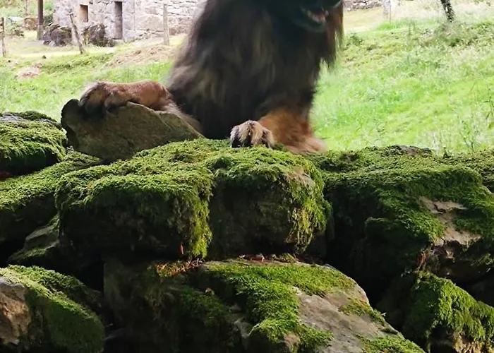 Lantställe Pasiega La Reina Del Paraiso *