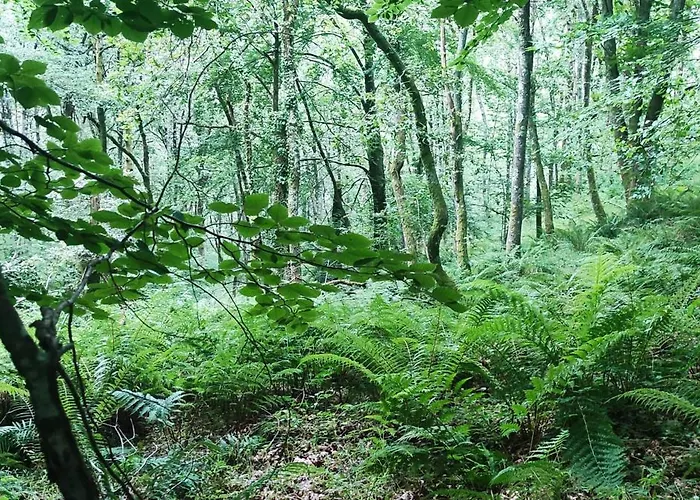 Pasiega La Reina Del Paraiso * San Roque de Ríomiera