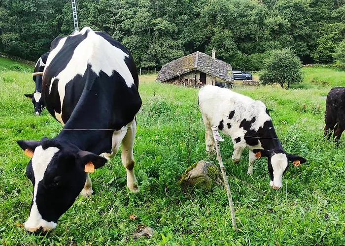 Pasiega La Reina Del Paraiso Lantställe San Roque de Ríomiera