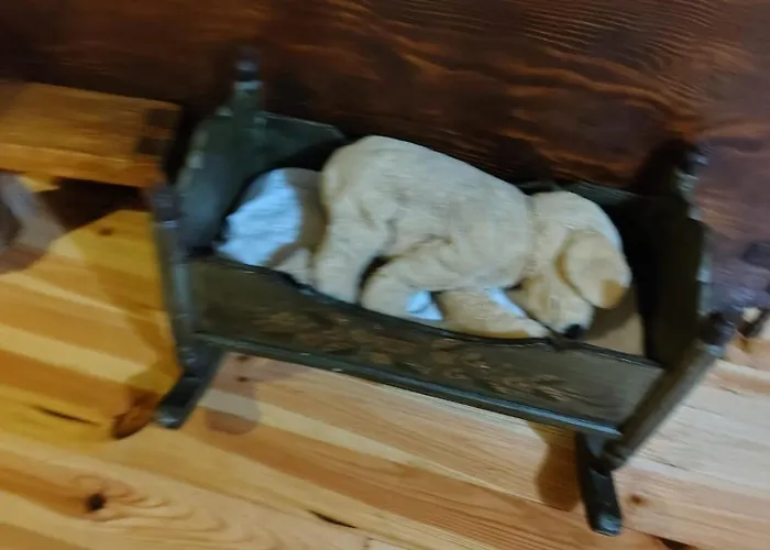 Pasiega La Reina Del Paraiso Lantställe *