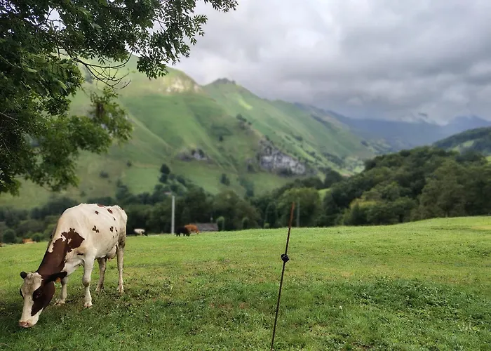 Pasiega La Reina Del Paraiso Lantställe *