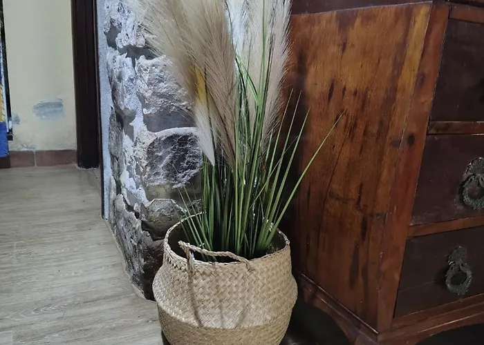 Pasiega La Reina Del Paraiso