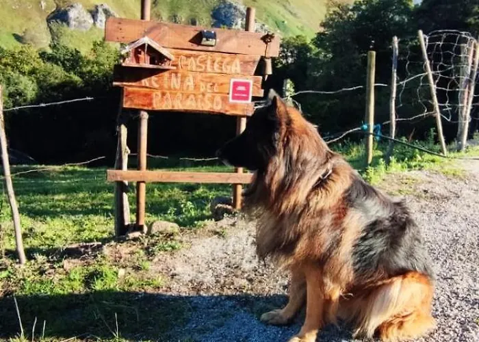 Pasiega La Reina Del Paraiso San Roque de Ríomiera