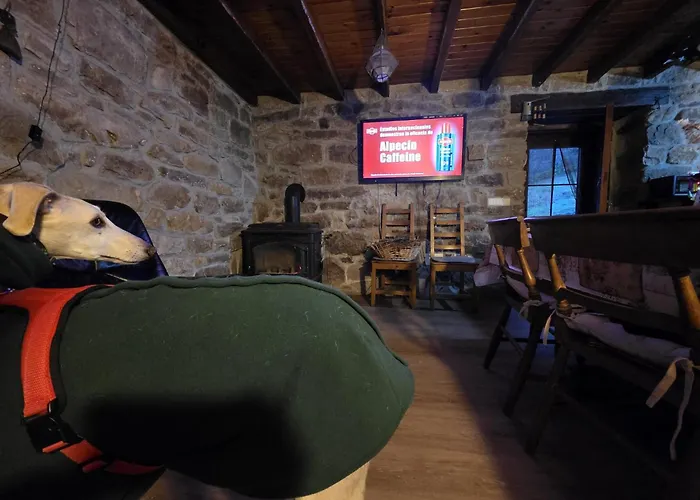 Pasiega La Reina Del Paraiso *